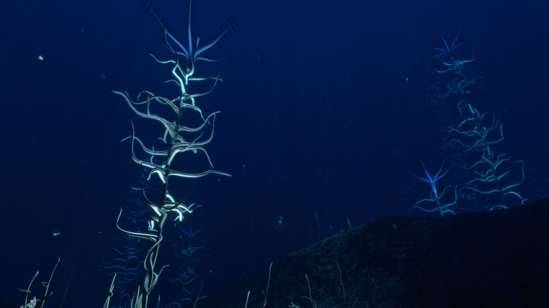 Blood Kelp Trench Biome