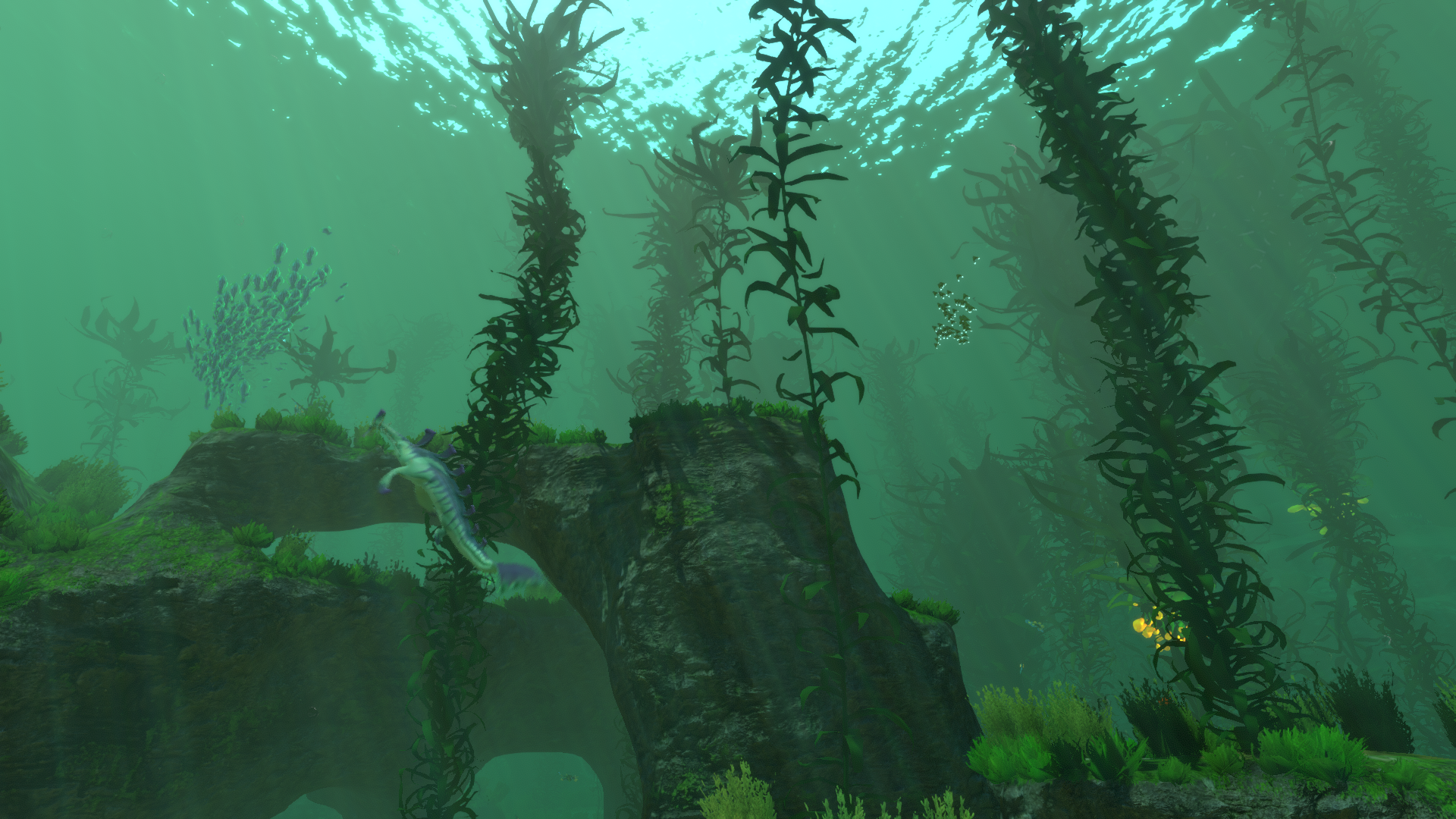 Kelp Zone Biome