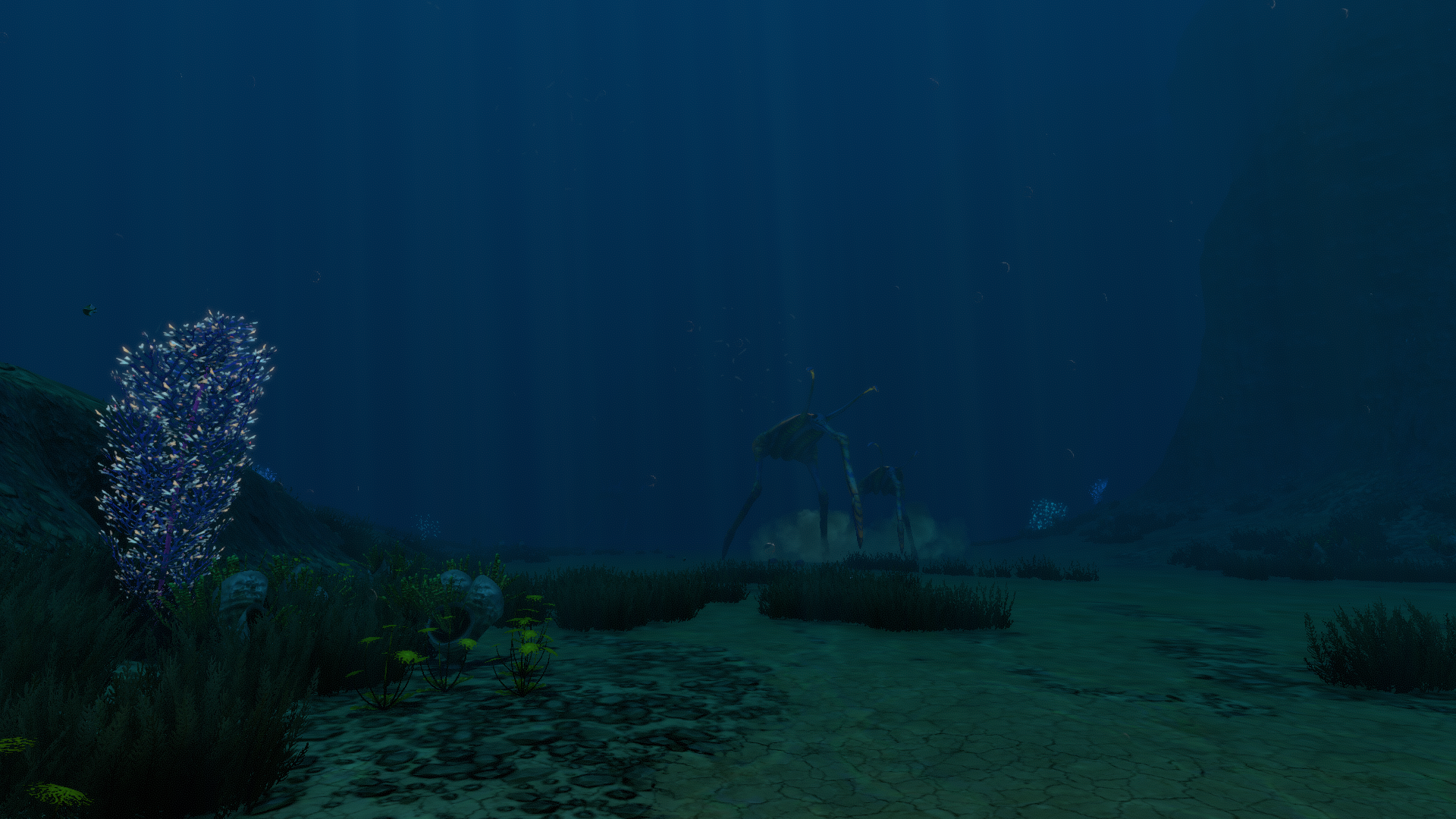 Sea Treader's Path Biome