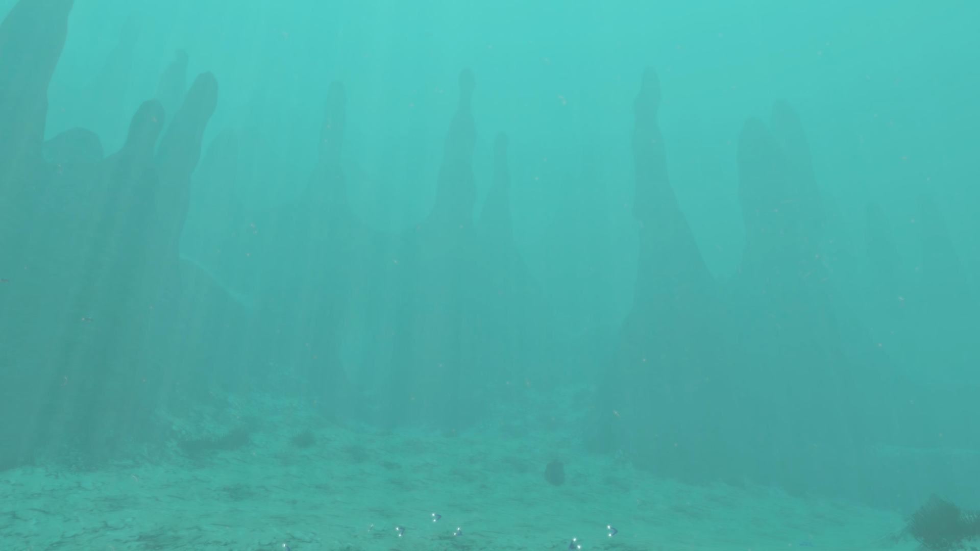 Underwater Formations